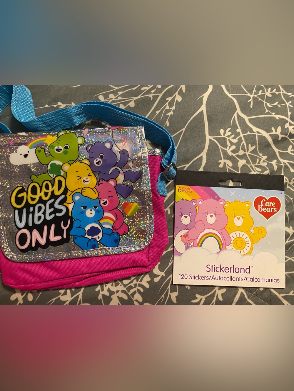 Lot of Two Care Bear Items